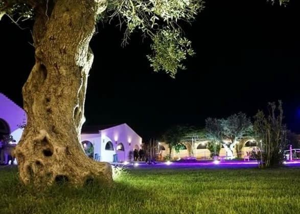 Masseria Colle Carro Ba07200451000019667 Altamura Buitenkant foto