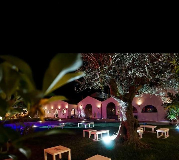 Masseria Colle Carro Ba07200451000019667 Altamura Buitenkant foto