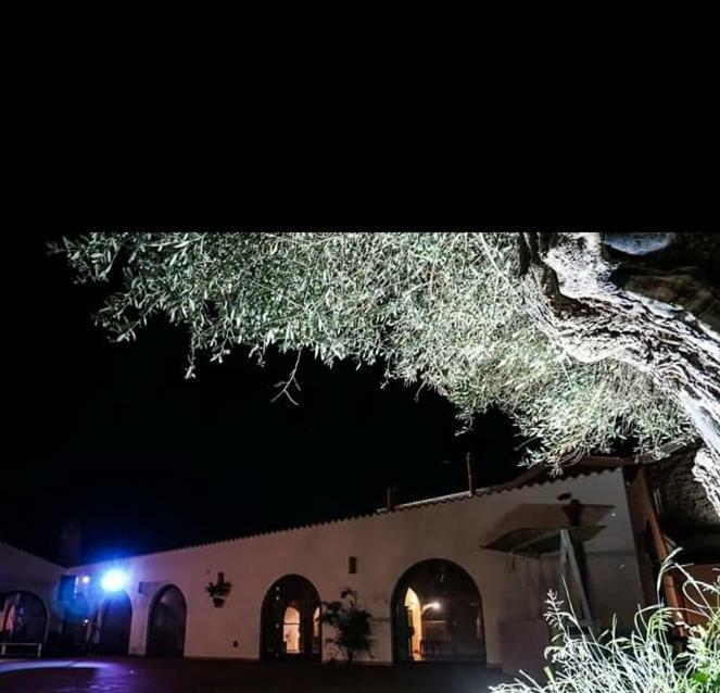 Masseria Colle Carro Ba07200451000019667 Altamura Buitenkant foto