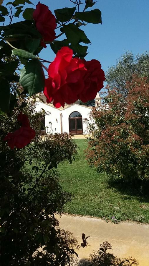 Masseria Colle Carro Ba07200451000019667 Altamura Buitenkant foto